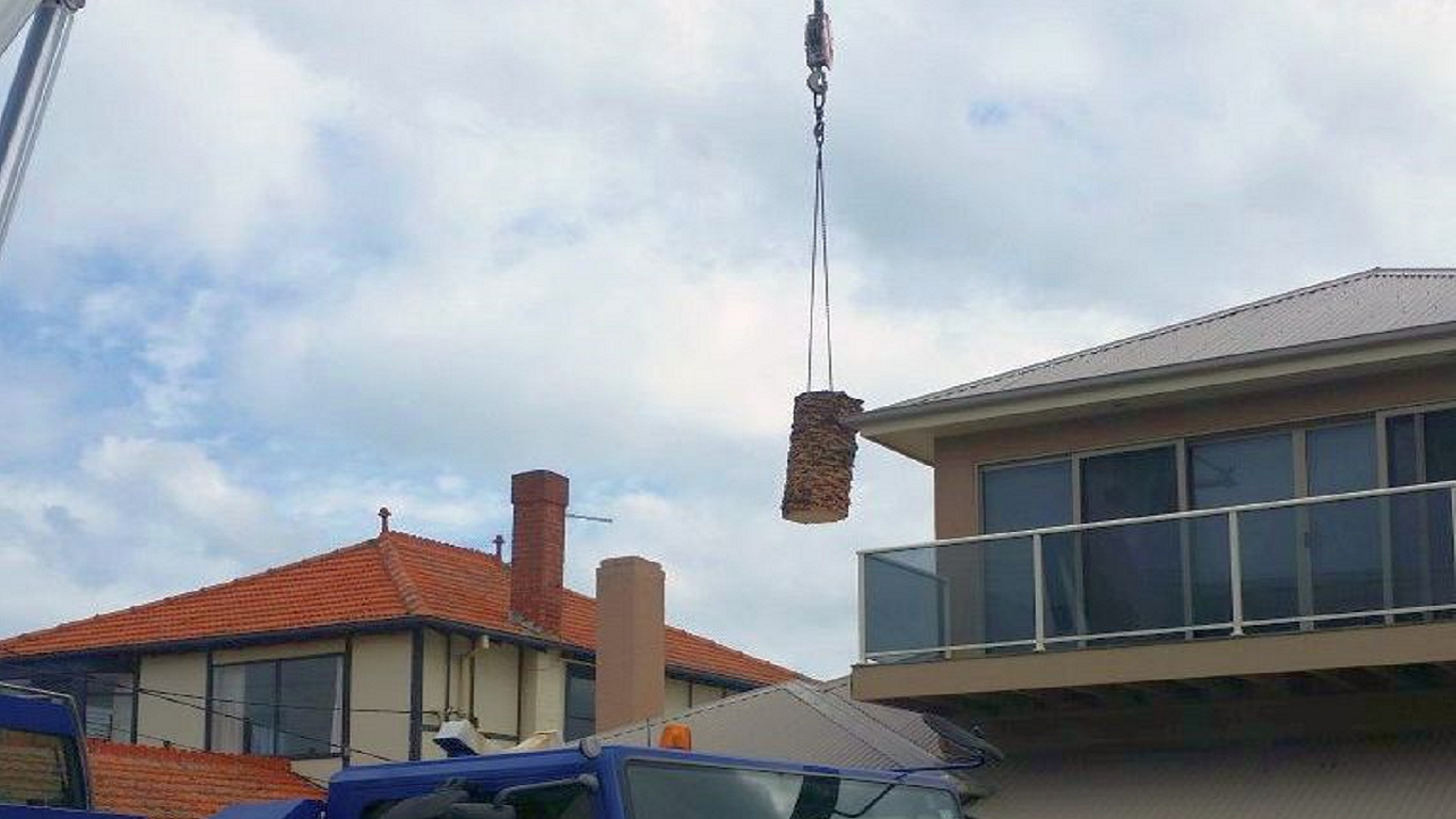 Spartan Tree and Earthworks Services featured image