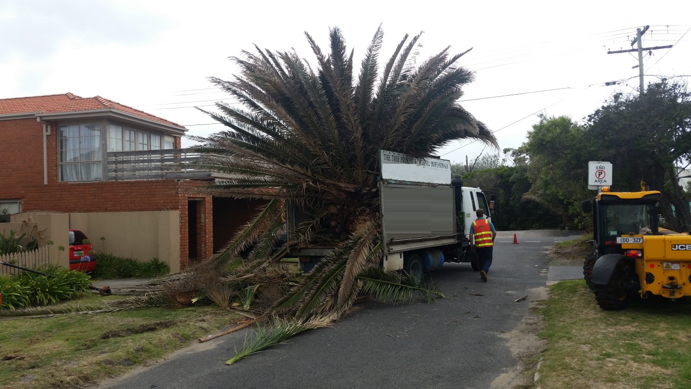 Spartan Tree and Earthworks Services featured image